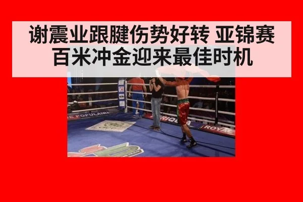 谢震业跟腱伤势好转 亚锦赛百米冲金迎来最佳时机